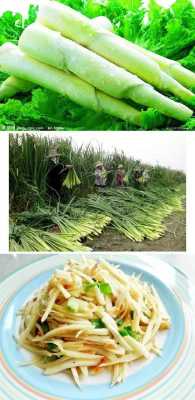 茭白能长几年,茭白是哪里长的菜-第1张图片-厨房小当家 茭白能长几年,茭白是哪里长的菜-第1张图片-厨房小当家
