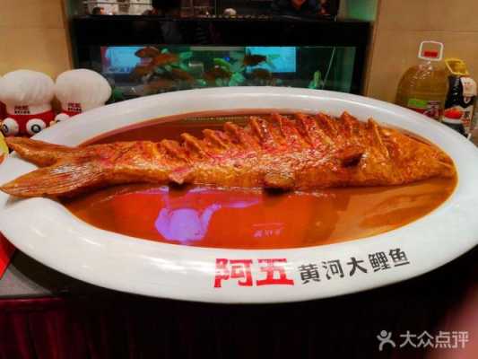 黄河边黄河大鲤鱼哪家好吃,哪里吃正宗黄河鲤鱼最好-第2张图片-厨房小当家 黄河边黄河大鲤鱼哪家好吃,哪里吃正宗黄河鲤鱼最好-第2张图片-厨房小当家