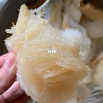 菊花鱼翅的泡发和做法,水发鱼翅价格-第3张图片-厨房小当家 菊花鱼翅的泡发和做法,水发鱼翅价格-第3张图片-厨房小当家