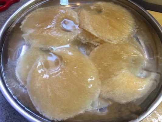 菊花鱼翅的泡发和做法,水发鱼翅价格-第2张图片-厨房小当家 菊花鱼翅的泡发和做法,水发鱼翅价格-第2张图片-厨房小当家
