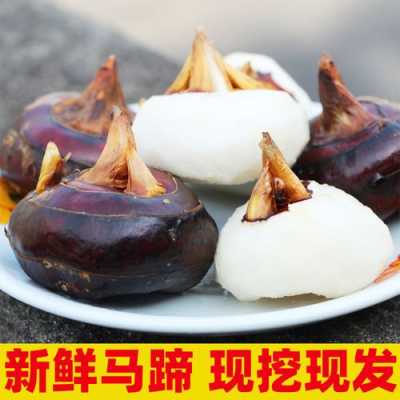 马蹄哪里的最好吃(马蹄品种哪个最好)-第1张图片-厨房小当家 马蹄哪里的最好吃(马蹄品种哪个最好)-第1张图片-厨房小当家