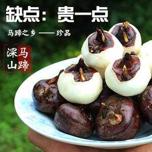 马蹄哪里的最好吃(马蹄品种哪个最好)-第3张图片-厨房小当家 马蹄哪里的最好吃(马蹄品种哪个最好)-第3张图片-厨房小当家