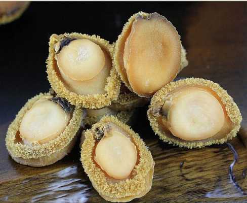 上海干鲍鱼哪里买（上海干鲍鱼餐厅）-第2张图片-厨房小当家