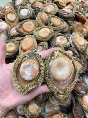上海干鲍鱼哪里买（上海干鲍鱼餐厅）-第1张图片-厨房小当家