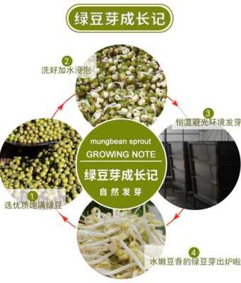 豆芽的各个部位名称,豆芽生长在哪里?-第1张图片-厨房小当家 豆芽的各个部位名称,豆芽生长在哪里?-第1张图片-厨房小当家