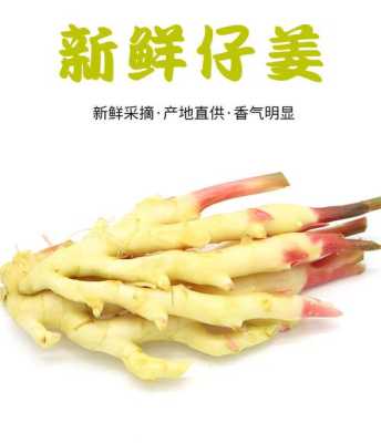 哪里的仔姜最好(哪里的仔姜最好吃)-第1张图片-厨房小当家 哪里的仔姜最好(哪里的仔姜最好吃)-第1张图片-厨房小当家