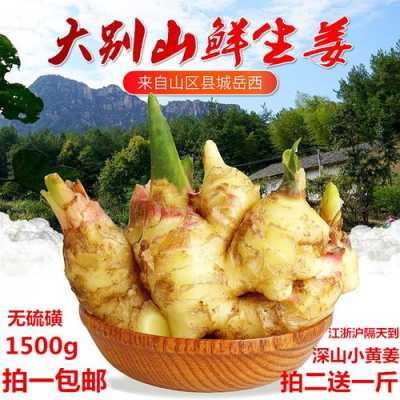 哪里的仔姜最好(哪里的仔姜最好吃)-第2张图片-厨房小当家 哪里的仔姜最好(哪里的仔姜最好吃)-第2张图片-厨房小当家