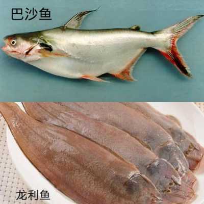 龙利鱼来自哪里(龙利鱼和巴沙鱼是一个品种吗?怎么区别)-第3张图片-厨房小当家 龙利鱼来自哪里(龙利鱼和巴沙鱼是一个品种吗?怎么区别)-第3张图片-厨房小当家