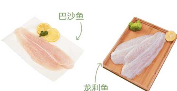龙利鱼来自哪里(龙利鱼和巴沙鱼是一个品种吗?怎么区别)-第2张图片-厨房小当家 龙利鱼来自哪里(龙利鱼和巴沙鱼是一个品种吗?怎么区别)-第2张图片-厨房小当家