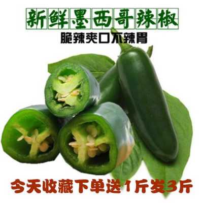 在哪里买墨西哥辣椒(在哪里买墨西哥辣椒好)-第2张图片-厨房小当家 在哪里买墨西哥辣椒(在哪里买墨西哥辣椒好)-第2张图片-厨房小当家