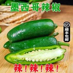在哪里买墨西哥辣椒(在哪里买墨西哥辣椒好)-第3张图片-厨房小当家 在哪里买墨西哥辣椒(在哪里买墨西哥辣椒好)-第3张图片-厨房小当家