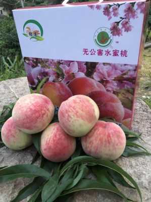 水蜜桃哪里产的(水蜜桃哪里产的最有名)-第1张图片-厨房小当家 水蜜桃哪里产的(水蜜桃哪里产的最有名)-第1张图片-厨房小当家