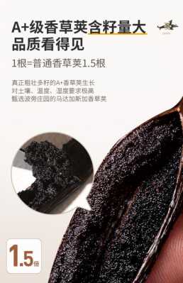 香草荚哪里的最好(香草荚泡酒多久有效,求解)-第2张图片-厨房小当家 香草荚哪里的最好(香草荚泡酒多久有效,求解)-第2张图片-厨房小当家