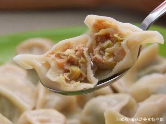两岁宝宝鸡肉饺子馅做法,鸡肉饺子用什么鸡肉-第3张图片-厨房小当家