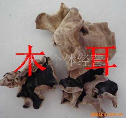 白背木耳哪里的好(白背木耳和黄背木耳有哪些特点)-第2张图片-厨房小当家 白背木耳哪里的好(白背木耳和黄背木耳有哪些特点)-第2张图片-厨房小当家