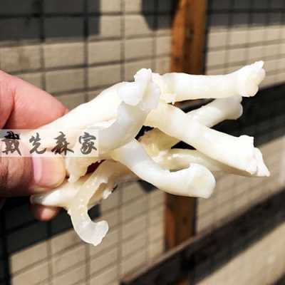 新鲜猪蹄筋哪里有卖(如何发新鲜猪蹄筋)-第3张图片-厨房小当家 新鲜猪蹄筋哪里有卖(如何发新鲜猪蹄筋)-第3张图片-厨房小当家