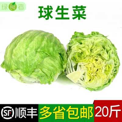 在哪里可以买到球生菜(球生菜有农药吗)-第2张图片-厨房小当家 在哪里可以买到球生菜(球生菜有农药吗)-第2张图片-厨房小当家