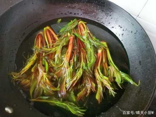哪里的香椿最好,香椿芽哪里的好吃-第2张图片-厨房小当家 哪里的香椿最好,香椿芽哪里的好吃-第2张图片-厨房小当家