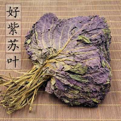 干紫苏叶药店有卖么,干紫苏叶哪里有卖的-第2张图片-厨房小当家 干紫苏叶药店有卖么,干紫苏叶哪里有卖的-第2张图片-厨房小当家