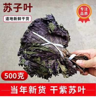 干紫苏叶药店有卖么,干紫苏叶哪里有卖的-第3张图片-厨房小当家 干紫苏叶药店有卖么,干紫苏叶哪里有卖的-第3张图片-厨房小当家