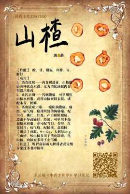 膳能御方多少钱一盒,哪里可以买山楂山药丸呢-第1张图片-厨房小当家 膳能御方多少钱一盒,哪里可以买山楂山药丸呢-第1张图片-厨房小当家