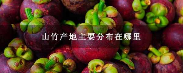 山竹长在中国哪里了(山竹长在中国哪里了呢)-第3张图片-厨房小当家 山竹长在中国哪里了(山竹长在中国哪里了呢)-第3张图片-厨房小当家