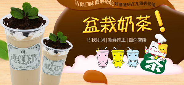 猫咖店前景怎么样,九猫欧式奶茶铺怎么样知乎-第2张图片-厨房小当家 猫咖店前景怎么样,九猫欧式奶茶铺怎么样知乎-第2张图片-厨房小当家