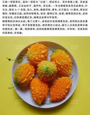 赖瓜的营养在哪里(赖瓜营养功效)-第2张图片-厨房小当家 赖瓜的营养在哪里(赖瓜营养功效)-第2张图片-厨房小当家