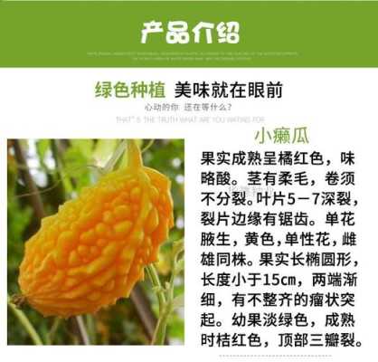 赖瓜的营养在哪里(赖瓜营养功效)-第3张图片-厨房小当家 赖瓜的营养在哪里(赖瓜营养功效)-第3张图片-厨房小当家