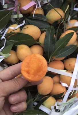 枇杷芒中国哪里有种植(枇杷芒产地哪里最有名)-第3张图片-厨房小当家 枇杷芒中国哪里有种植(枇杷芒产地哪里最有名)-第3张图片-厨房小当家