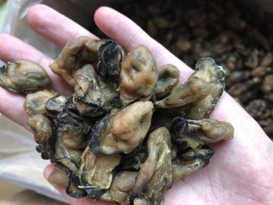 郑州生蚝干哪里有卖,干生蚝哪里有卖的-第3张图片-厨房小当家 郑州生蚝干哪里有卖,干生蚝哪里有卖的-第3张图片-厨房小当家