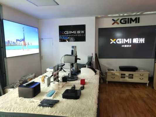 现在经营实体店怎么样（极米投影仪实体店好做吗）-第2张图片-厨房小当家