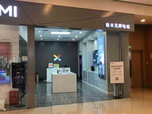 现在经营实体店怎么样（极米投影仪实体店好做吗）-第1张图片-厨房小当家