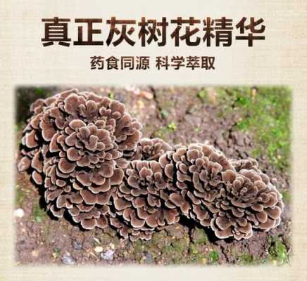 国产舞茸哪里的好(哪里可以买美国药Adcetris)-第3张图片-厨房小当家 国产舞茸哪里的好(哪里可以买美国药Adcetris)-第3张图片-厨房小当家