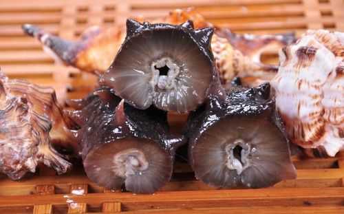 海参哪里产的最好吃(海参哪里产的最好吃最正宗)-第2张图片-厨房小当家 海参哪里产的最好吃(海参哪里产的最好吃最正宗)-第2张图片-厨房小当家