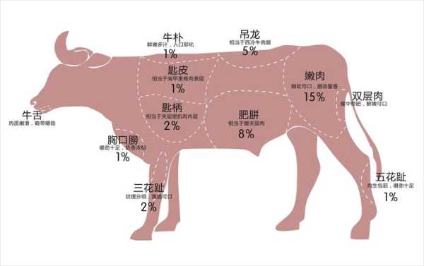 潮正和牛肉火锅全国多少家,津潮牛潮汕牛肉火锅新港路-第2张图片-厨房小当家 潮正和牛肉火锅全国多少家,津潮牛潮汕牛肉火锅新港路-第2张图片-厨房小当家