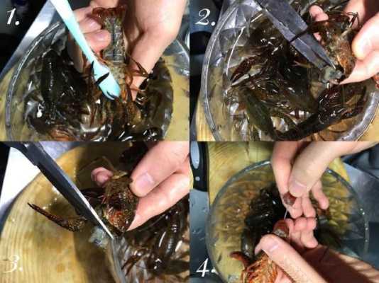小龙虾哪里要剪掉(小龙虾要剪掉什么部分)-第1张图片-厨房小当家 小龙虾哪里要剪掉(小龙虾要剪掉什么部分)-第1张图片-厨房小当家