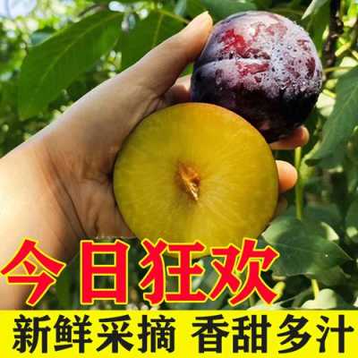 哪里产的李子最好吃（哪里产的李子最好吃又甜）-第3张图片-厨房小当家