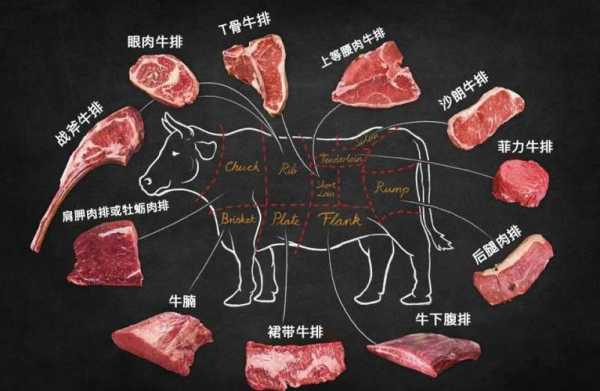 牛排是牛身上什么部位的肉啊,牛排是牛的哪个部位的肉-第3张图片-厨房小当家 牛排是牛身上什么部位的肉啊,牛排是牛的哪个部位的肉-第3张图片-厨房小当家