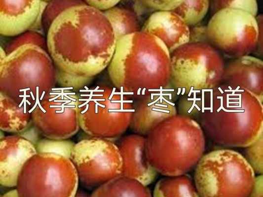 哪里的大枣最有营养(哪里的大枣最有营养价值)-第2张图片-厨房小当家 哪里的大枣最有营养(哪里的大枣最有营养价值)-第2张图片-厨房小当家
