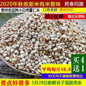 药用薏米哪里产的最好(药用的薏米跟食用薏米有什么区别)-第3张图片-厨房小当家 药用薏米哪里产的最好(药用的薏米跟食用薏米有什么区别)-第3张图片-厨房小当家