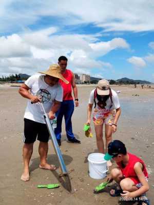 沙扒在哪里买海鲜(阳西沙扒最佳赶海地点)-第3张图片-厨房小当家 沙扒在哪里买海鲜(阳西沙扒最佳赶海地点)-第3张图片-厨房小当家