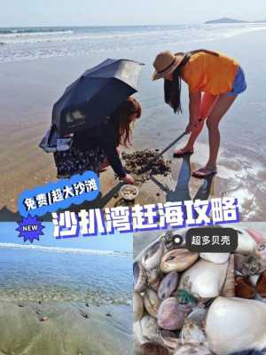 沙扒在哪里买海鲜(阳西沙扒最佳赶海地点)-第1张图片-厨房小当家 沙扒在哪里买海鲜(阳西沙扒最佳赶海地点)-第1张图片-厨房小当家