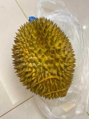 如何买榴莲哪里的榴莲(买榴莲哪里买便宜)-第1张图片-厨房小当家 如何买榴莲哪里的榴莲(买榴莲哪里买便宜)-第1张图片-厨房小当家