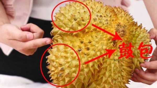如何买榴莲哪里的榴莲(买榴莲哪里买便宜)-第2张图片-厨房小当家 如何买榴莲哪里的榴莲(买榴莲哪里买便宜)-第2张图片-厨房小当家