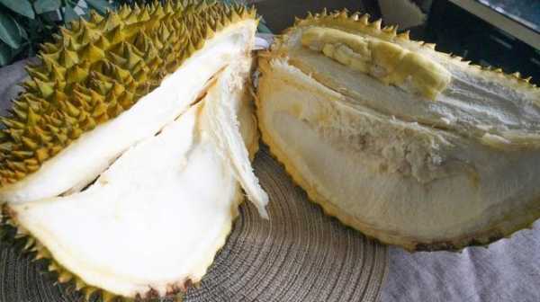 如何买榴莲哪里的榴莲(买榴莲哪里买便宜)-第3张图片-厨房小当家 如何买榴莲哪里的榴莲(买榴莲哪里买便宜)-第3张图片-厨房小当家