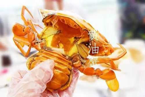 黄油蟹一般几斤,深圳哪里有吃黄油蟹的地方-第3张图片-厨房小当家