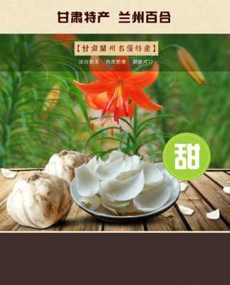 哪里的百合好吃(哪里的百合好吃又甜)-第1张图片-厨房小当家 哪里的百合好吃(哪里的百合好吃又甜)-第1张图片-厨房小当家