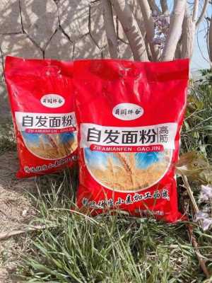 小麦胚粉哪里有卖(面条有小麦胚粉好吗)-第1张图片-厨房小当家 小麦胚粉哪里有卖(面条有小麦胚粉好吗)-第1张图片-厨房小当家