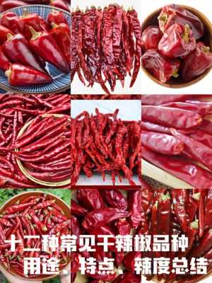 四川辣椒辣度排名,四川辣椒哪里好-第3张图片-厨房小当家 四川辣椒辣度排名,四川辣椒哪里好-第3张图片-厨房小当家